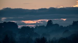 Fog and sky